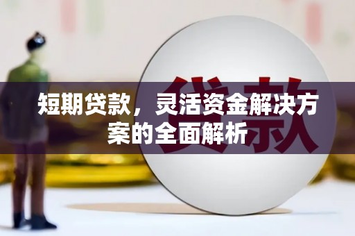 奉节短期贷款，灵活资金解决方案的全面解析