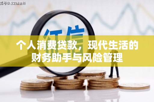 奉节个人消费贷款，现代生活的财务助手与风险管理