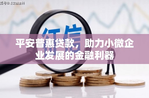 奉节平安普惠贷款，助力小微企业发展的金融利器